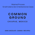 COMMON GROUND - MEXICO