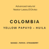YELLOW PAPAYO - FILTER