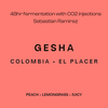 COLOMBIA GESHA - FILTER