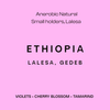ETHIOPIA - FILTER